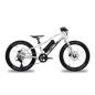 Preview: ben-e-bike Twenty E-Power TFT 250 Wh
