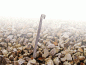 Wechsel-tents Rock Peg