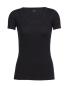 Icebreaker Siren Short Sleeve Shirt Sweetheart
