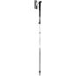 Preview: Leki Skytera FX Carbon SL Compact